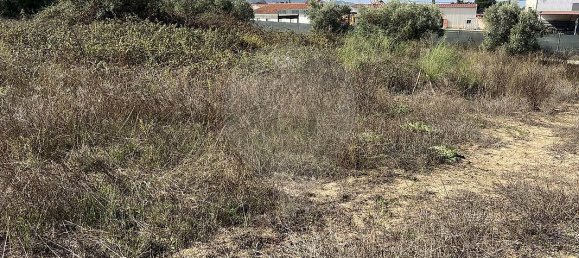 10500m² Land in Palmela, Portugal No. 155577 18