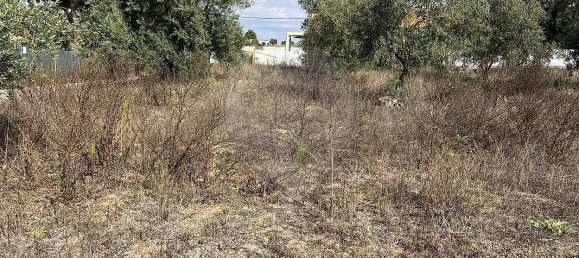 10500m² Land in Palmela, Portugal No. 155577 3