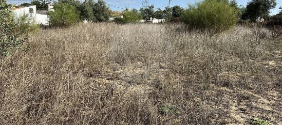 10500m² Land in Palmela, Portugal No. 155577 20
