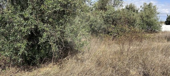 10500m² Land in Palmela, Portugal No. 155577 2