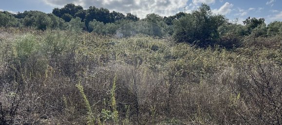 10500m² Land in Palmela, Portugal No. 155577 15