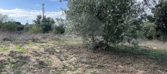 10500m² Land in Palmela, Portugal No. 155577 19