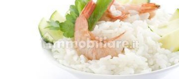 2 rooms Commercial property in Savona, Italy No. 189147 4