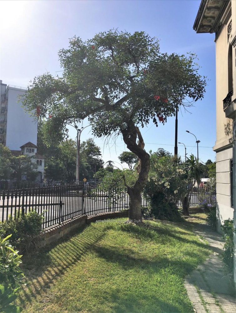 8 bedrooms House in Montevideo, Uruguay No. 12566