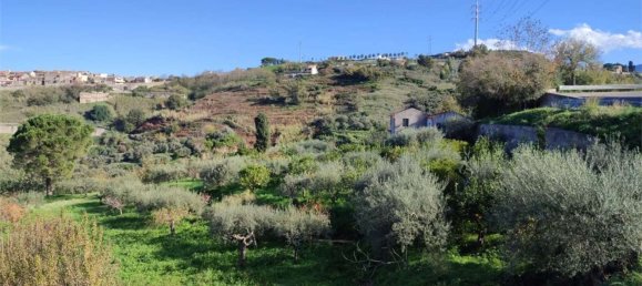 11100m² Land in Roccavaldina, Italy No. 165629 5