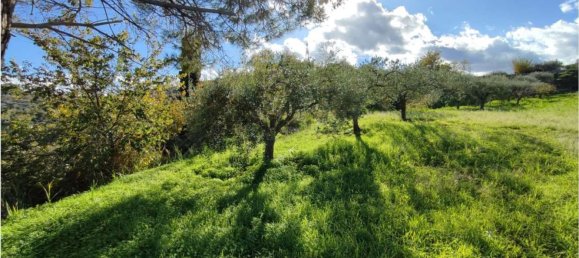 11100m² Land in Roccavaldina, Italy No. 165629 13