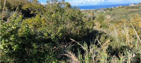 11100m² Land in Roccavaldina, Italy No. 165629 12