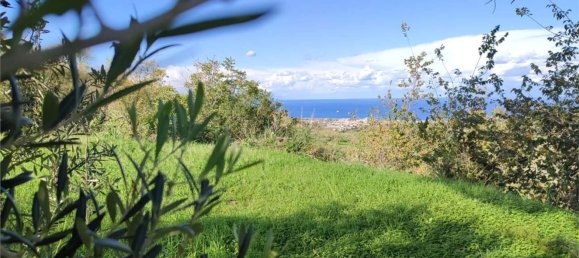 11100m² Land in Roccavaldina, Italy No. 165629 7