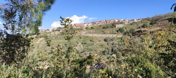 11100m² Land in Roccavaldina, Italy No. 165629 9