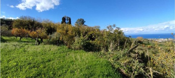 11100m² Land in Roccavaldina, Italy No. 165629 14