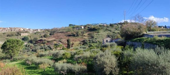 11100m² Land in Roccavaldina, Italy No. 165629 3