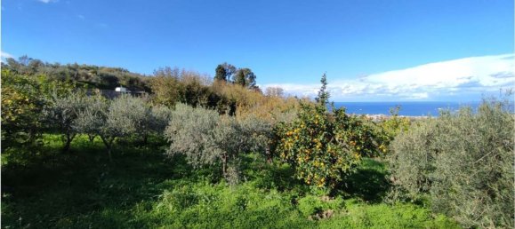 11100m² Land in Roccavaldina, Italy No. 165629 24