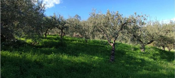 11100m² Land in Roccavaldina, Italy No. 165629 16