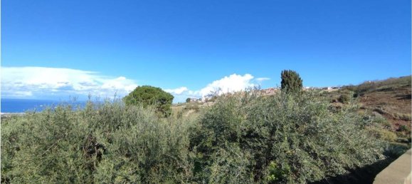 11100m² Land in Roccavaldina, Italy No. 165629 22