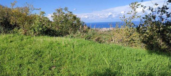 11100m² Land in Roccavaldina, Italy No. 165629 11