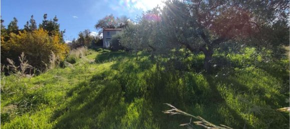 11100m² Land in Roccavaldina, Italy No. 165629 15