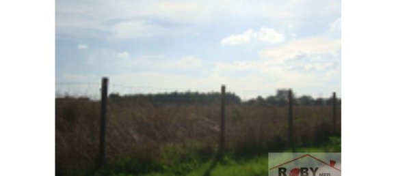 Terreno en Montijo, Portugal 59880 m² No. 43573 4