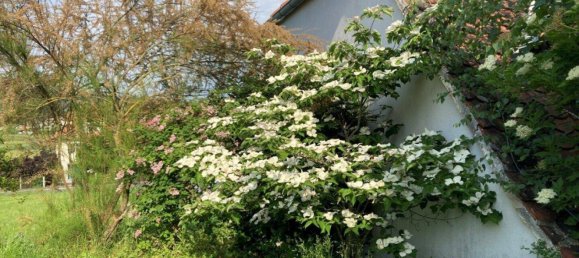 7غرفة تاون هاوس في Gussing, Austria رقم 108748 3