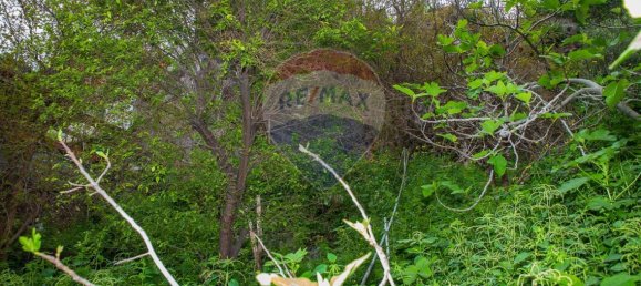 6-Zimmer Haus in Catania, Italy, Nr. 34929 21