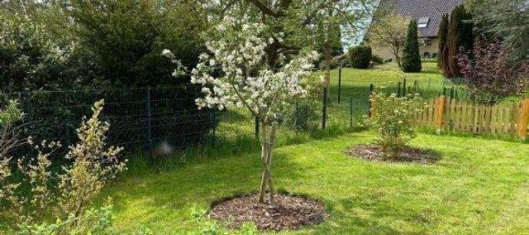 Дом с 5 комнатами в Бергедорф, Германия № 230521 9