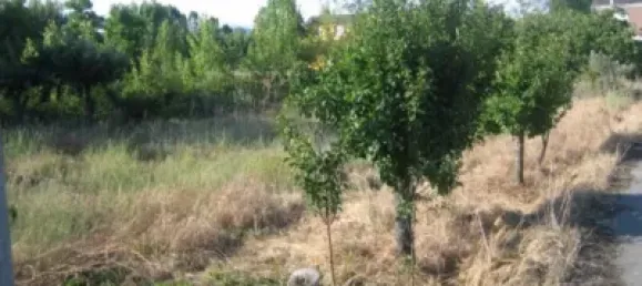 13 غرف نوم منزل في Cacabelos, Spain رقم 104828 14