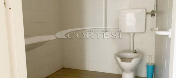 2 rooms Commercial property in Fano, Italy No. 178876 13
