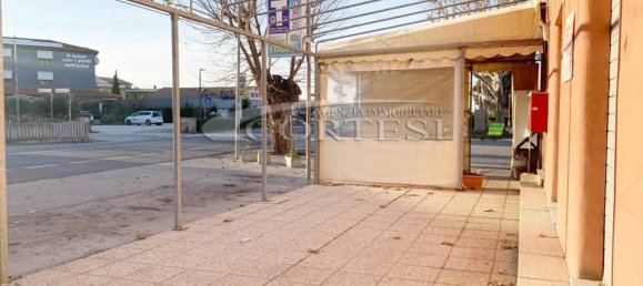 2 rooms Commercial property in Fano, Italy No. 178876 3