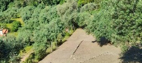 1800m² Land in Jerzu, Italy No. 297552 6