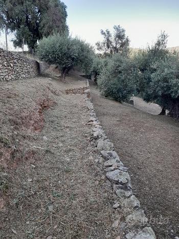 1800m² Land in Jerzu, Italy No. 297552