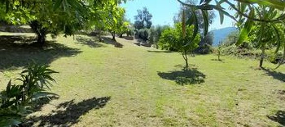 1800m² Land in Jerzu, Italy No. 297552 5