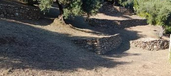 1800m² Land in Jerzu, Italy No. 297552 3