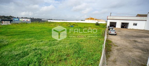 Grundstück in Vila Cha de Ourique, Portugal 4788m², Nr. 82922 5