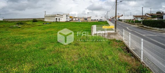 Grundstück in Vila Cha de Ourique, Portugal 4788m², Nr. 82922 20