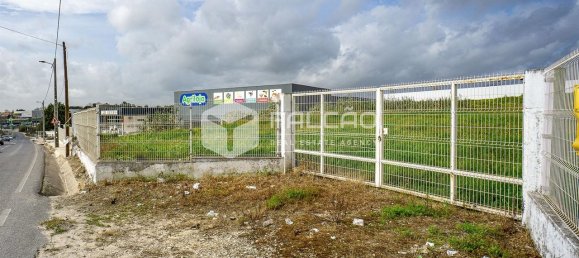 Grundstück in Vila Cha de Ourique, Portugal 4788m², Nr. 82922 35