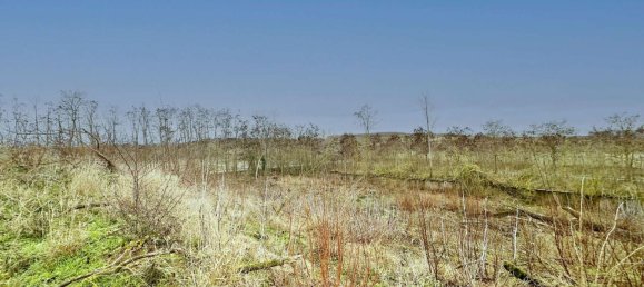  قطعة أرض في Salzlandkreis, Germany رقم 227459 32