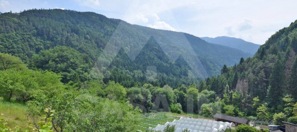 3 Schlafzimmer Haus in Altavalle, Italy, Nr. 198863 7