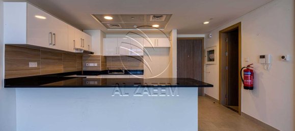 1 bedroom Apartment in Saadiyat Island, UAE No. 29441 10