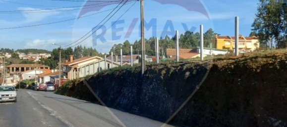9950m² Land in Nogueira da Regedoura, Portugal No. 66075 4