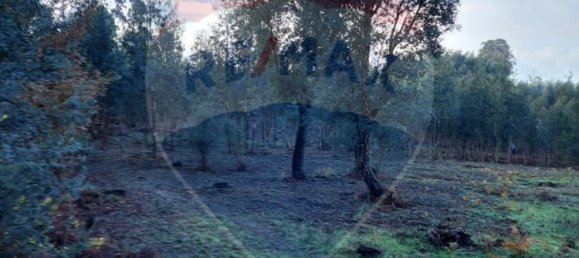 9950m² Land in Nogueira da Regedoura, Portugal No. 66075 7