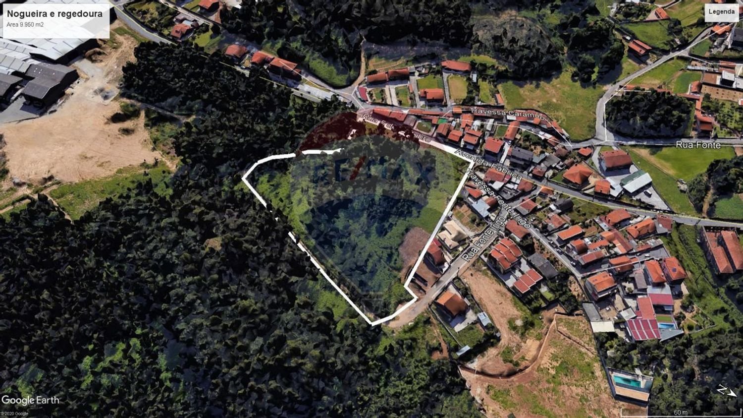 9950m² Land in Nogueira da Regedoura, Portugal No. 66075