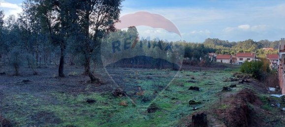 9950m² Land in Nogueira da Regedoura, Portugal No. 66075 6