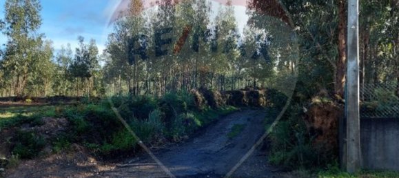 9950m² Land in Nogueira da Regedoura, Portugal No. 66075 5