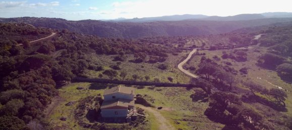 12-Zimmer Haus in Aglientu, Italy, Nr. 154176 12