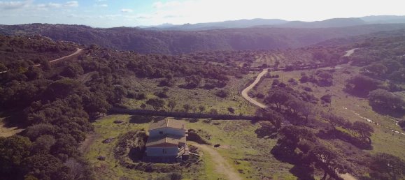 12-Zimmer Haus in Aglientu, Italy, Nr. 154176 8