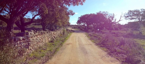 12-Zimmer Haus in Aglientu, Italy, Nr. 154176 6