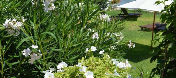 19 bedrooms Townhouse in Zakynthos, Greece No. 701 16