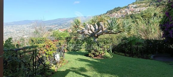 4 Schlafzimmer Villa in Funchal, Portugal, Nr. 146493 5