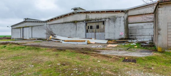 مستودع في Bene Vagienna, Italy 15997متر مربع رقم 214452 4