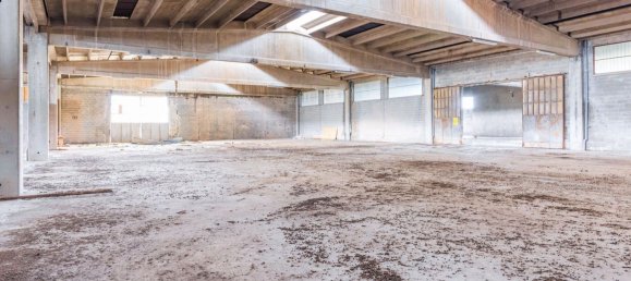 مستودع في Bene Vagienna, Italy 15997متر مربع رقم 214452 33