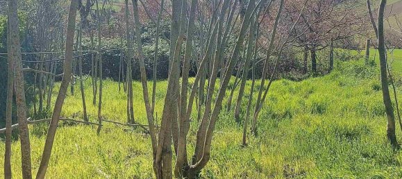 10 rooms House in Senigallia, Italy No. 302826 27